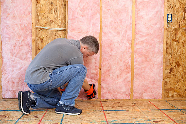 Best Insulation Maintenance and Repair in Eagle Lake, MN